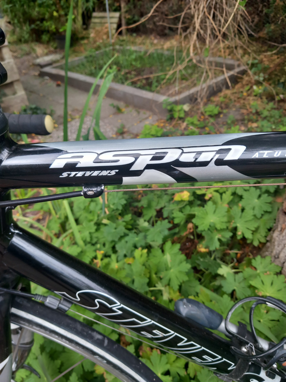 RACEFIETS Stevens Aspin
