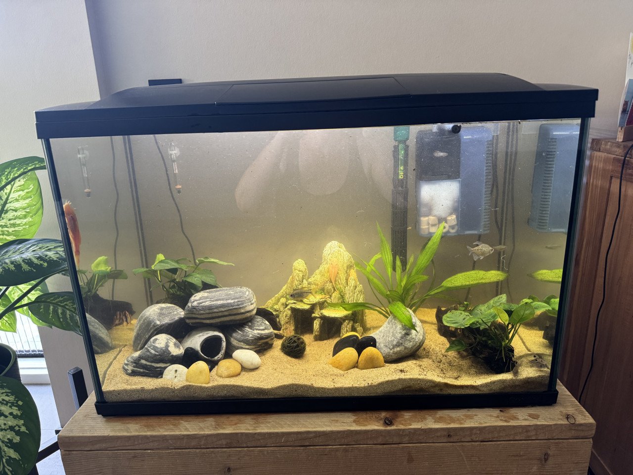 Aquarium (150 liter) met accessoires en benodigdheden