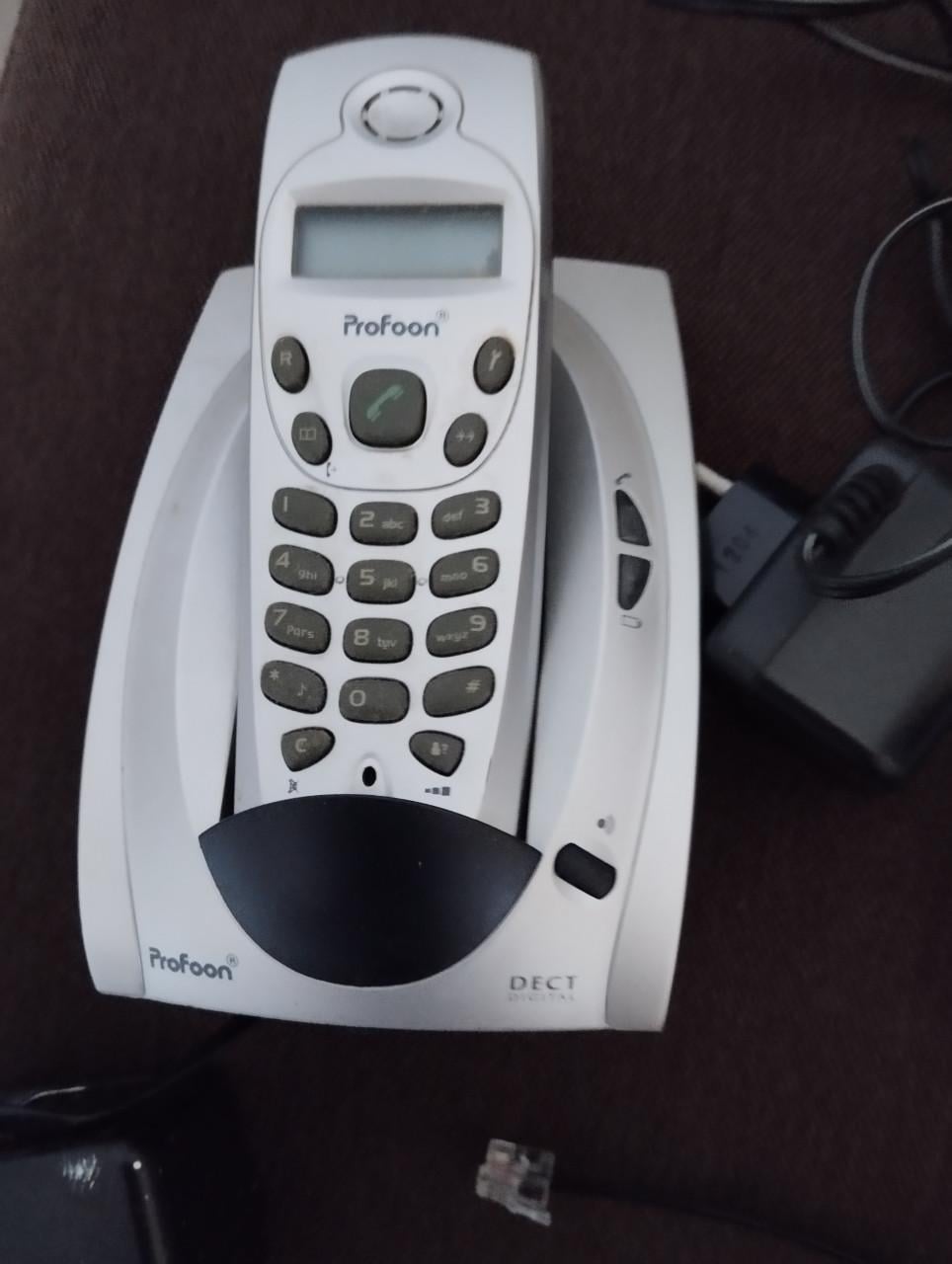 Telefoon met extra handset