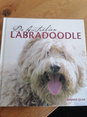 De Australian Labradoodle van Arienne Q