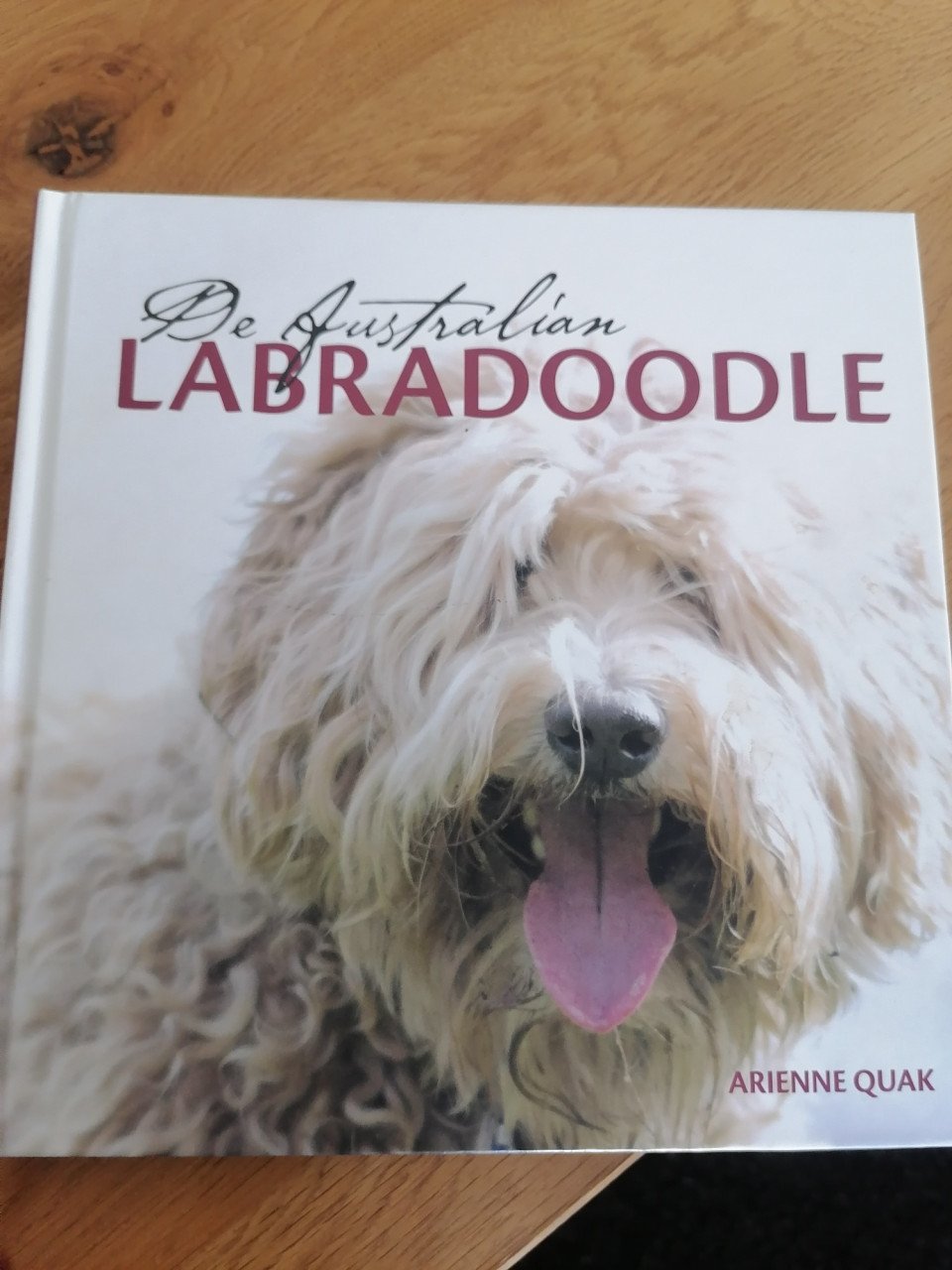 De Australian Labradoodle van Arienne Q