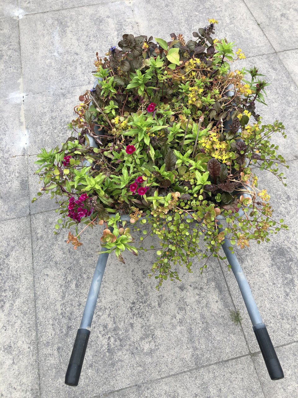 Kruiwagen plantenbak