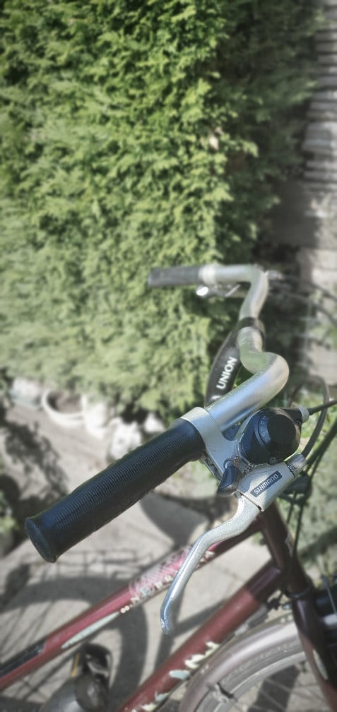 Union dames en heren fiets met 21 versnellingen