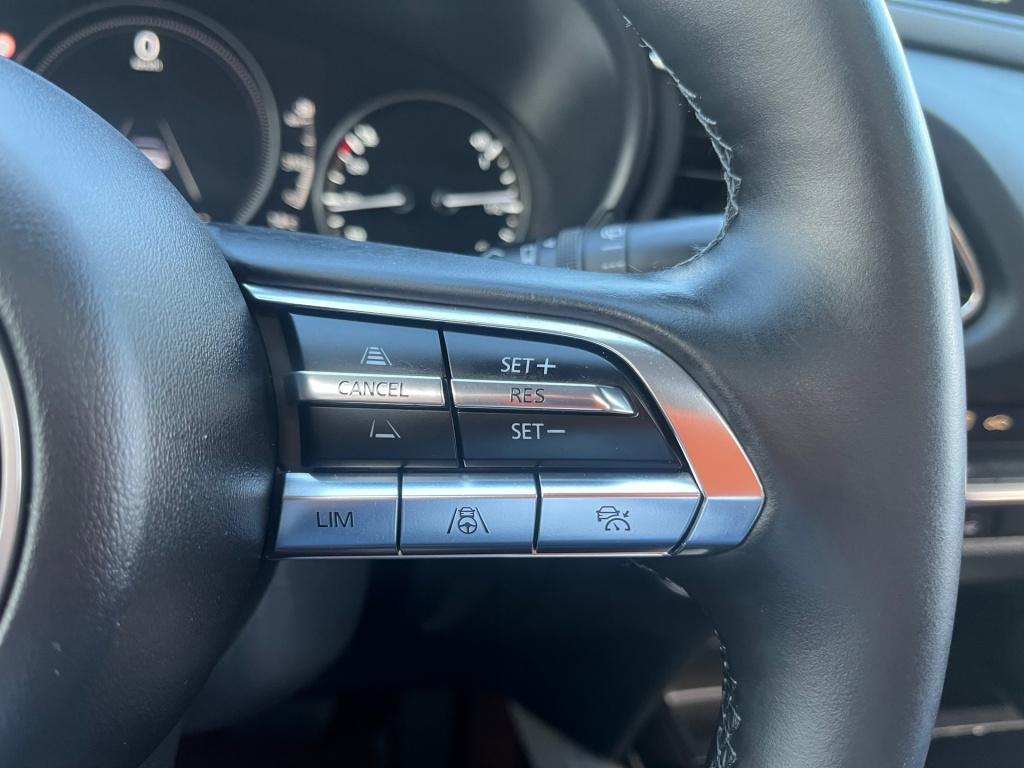 Mazda Cx-30 2.0 e-skyactiv-x m hybrid100th anniversary ed.|trekhaak|rijklaa