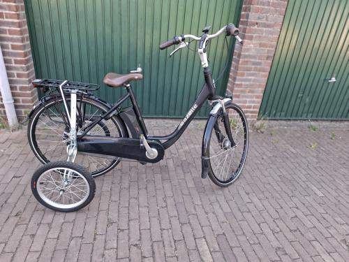 Gazelle Impulse Eektrische Damesfiets met Swinging weels, kan ook zonder.
