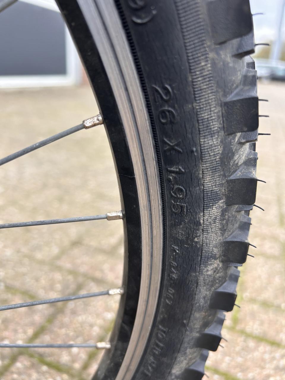 MTB Leopard Marlin 26"