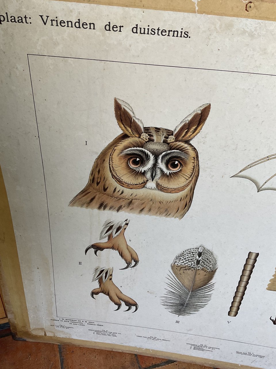 Schoolkaart ( vrienden der duisternis )