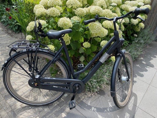 Damesfiets Gazelle Esprit