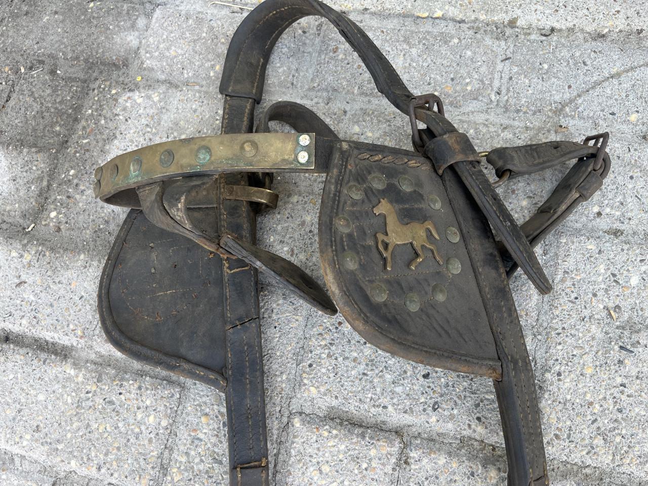 Paardengareel met hoofdstel met bit