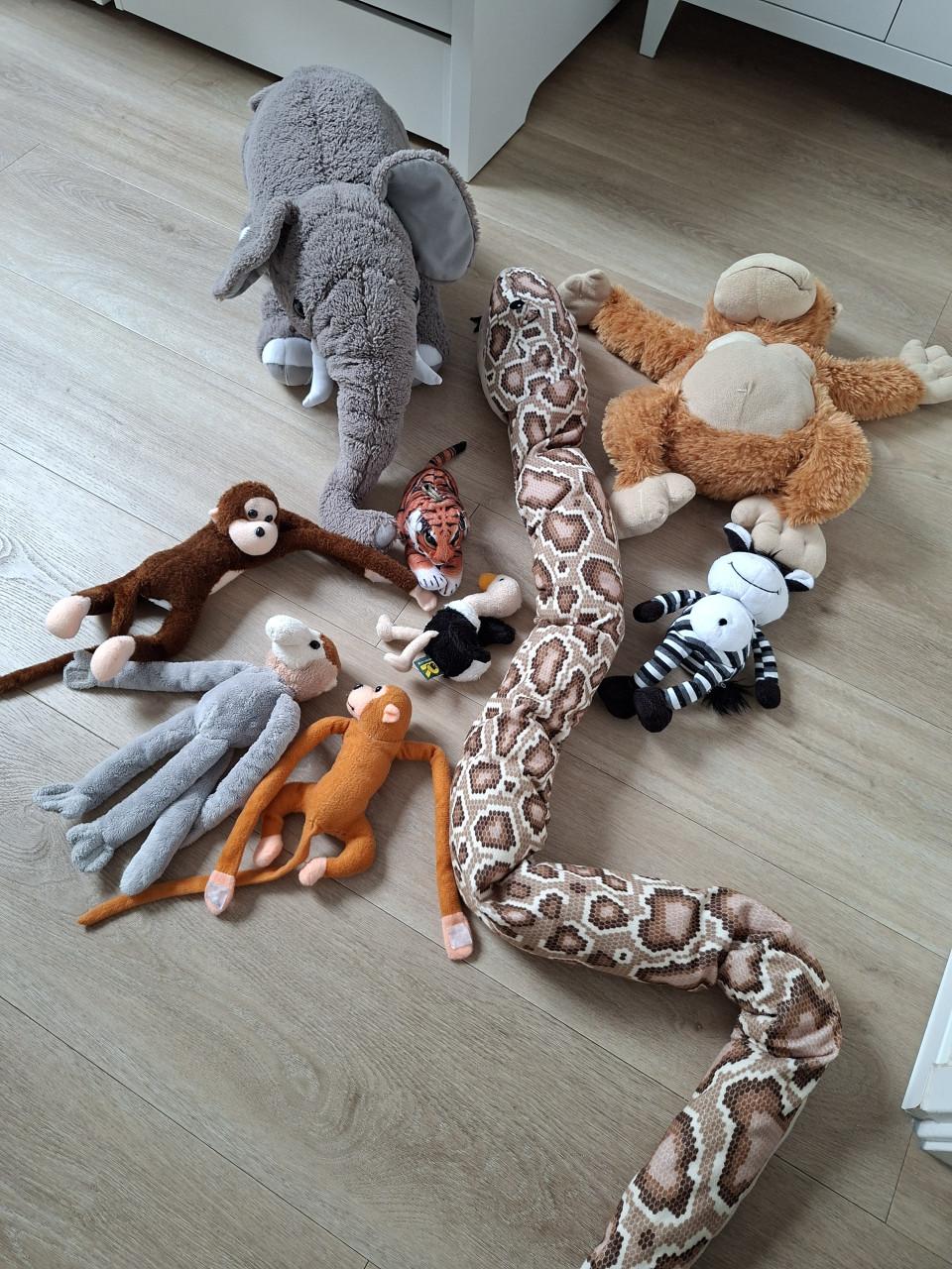 Knuffels voor thema jungle