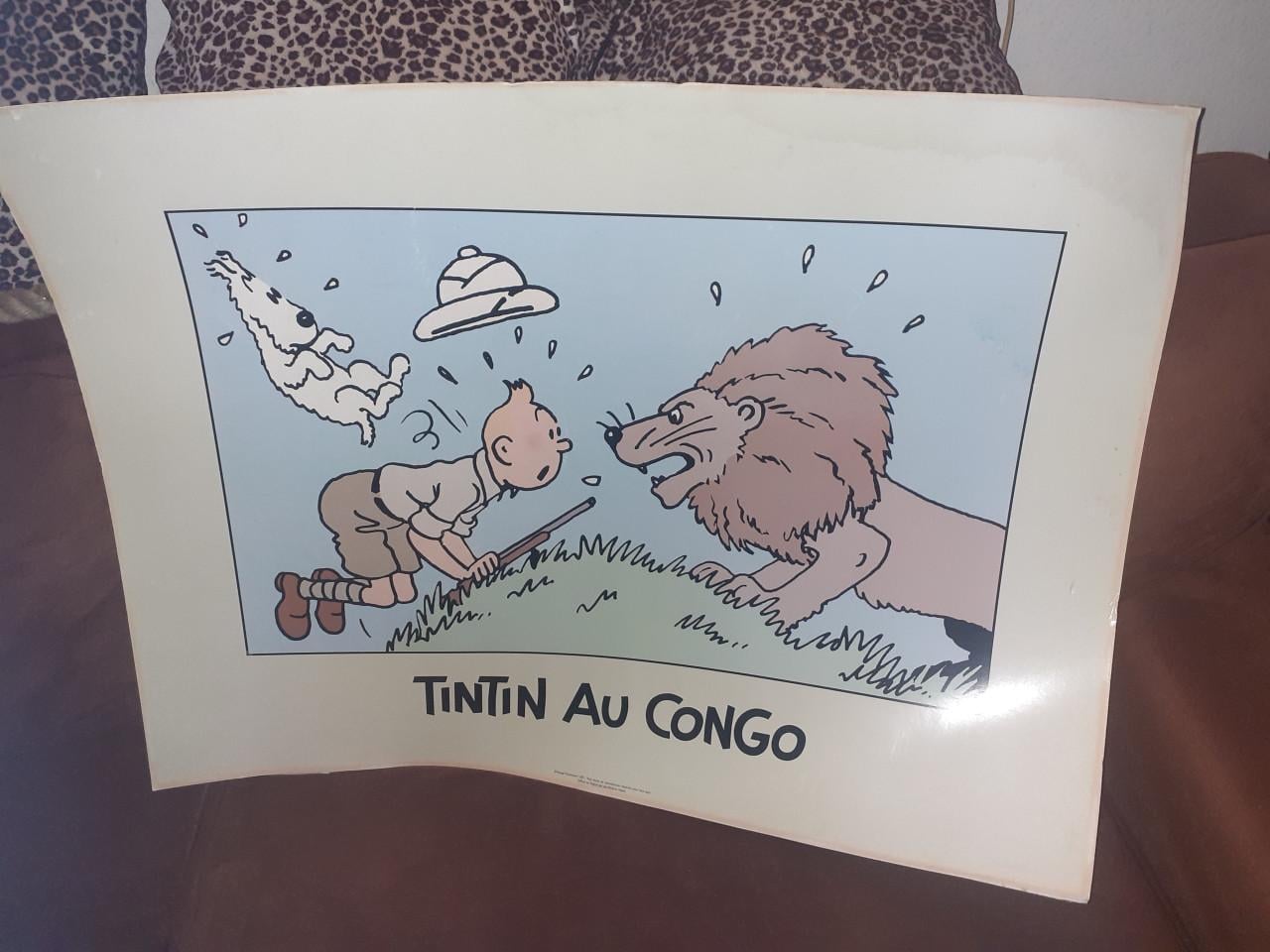 Foto -Schilderij * SPIJKERBRUG * Middelburg & Kuifje & Vesino