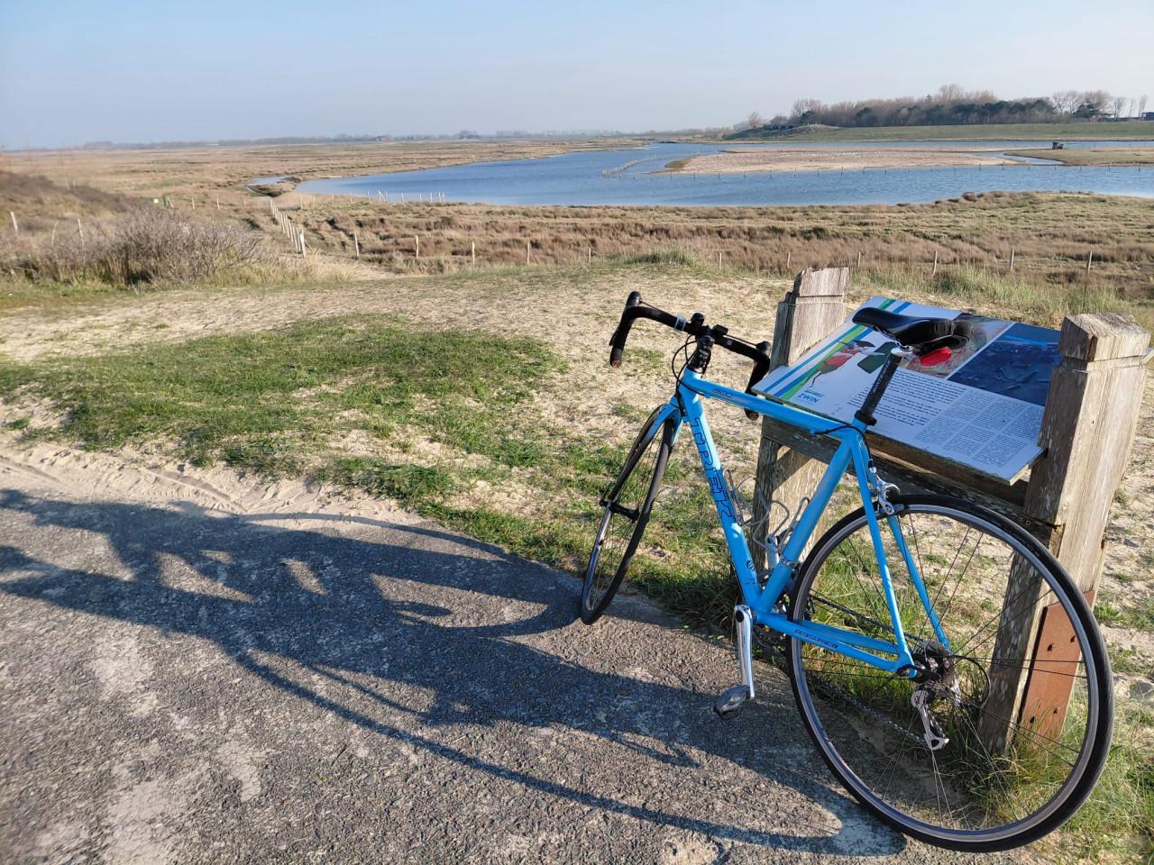 TREK - racefiets - 170/180 - Veere