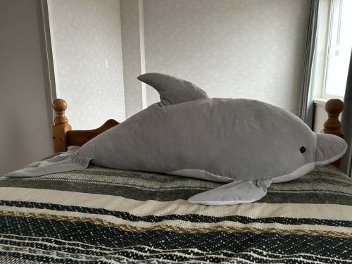 Mega grote DOLFIJN knuffel.