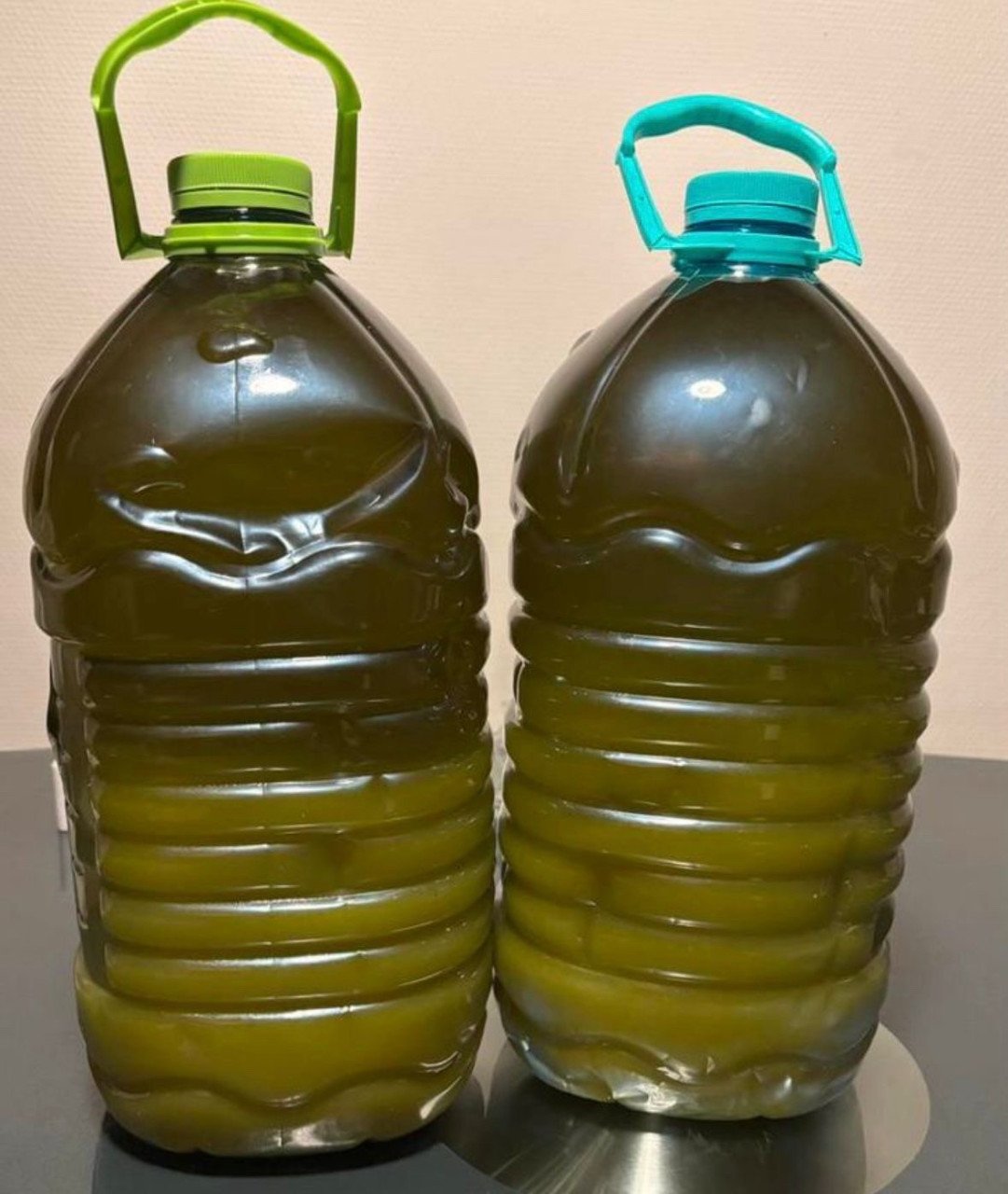 Extra vierge olijfolie uit eigen boomgaard in Albanië