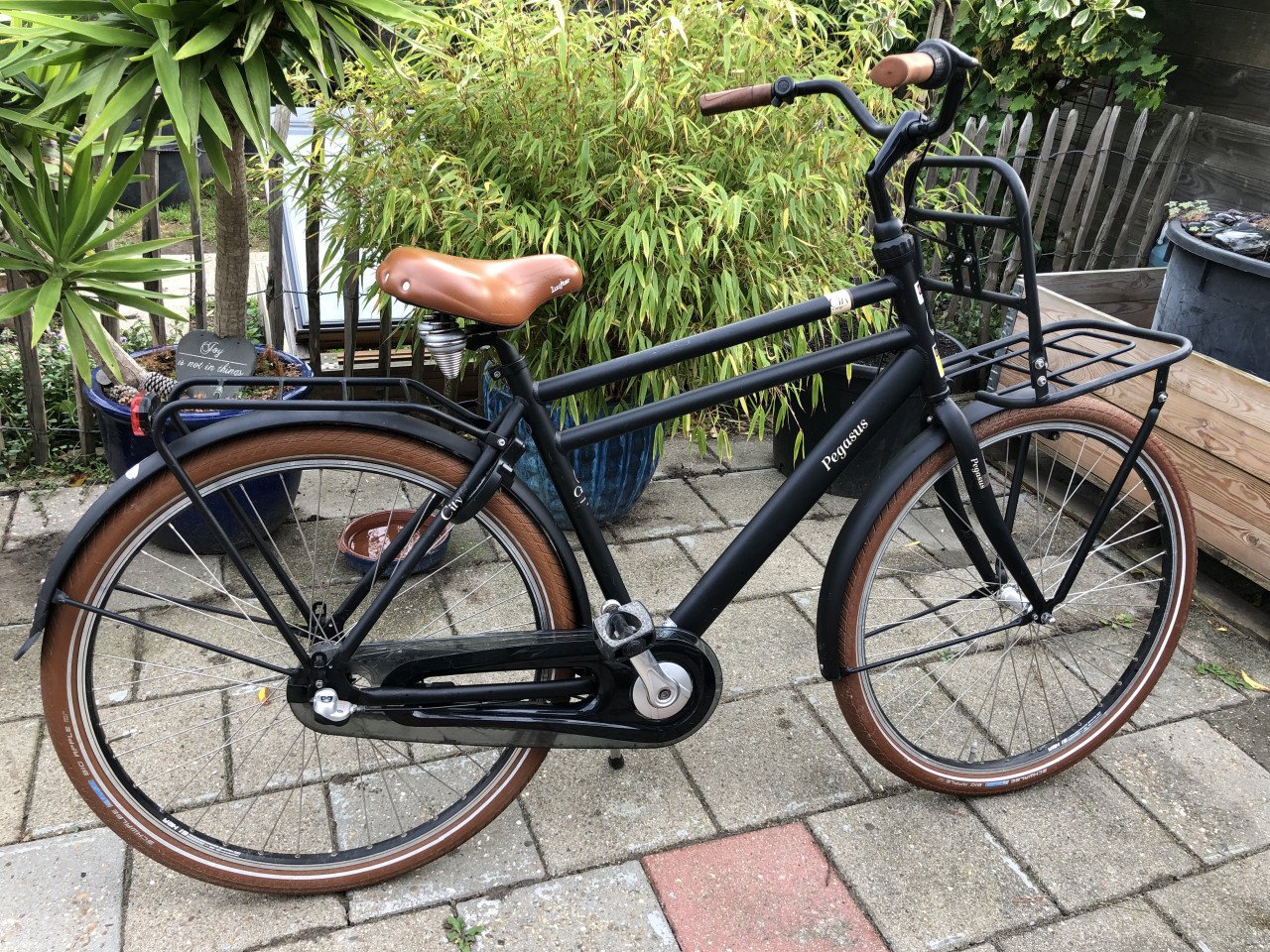Pegasus City Bike