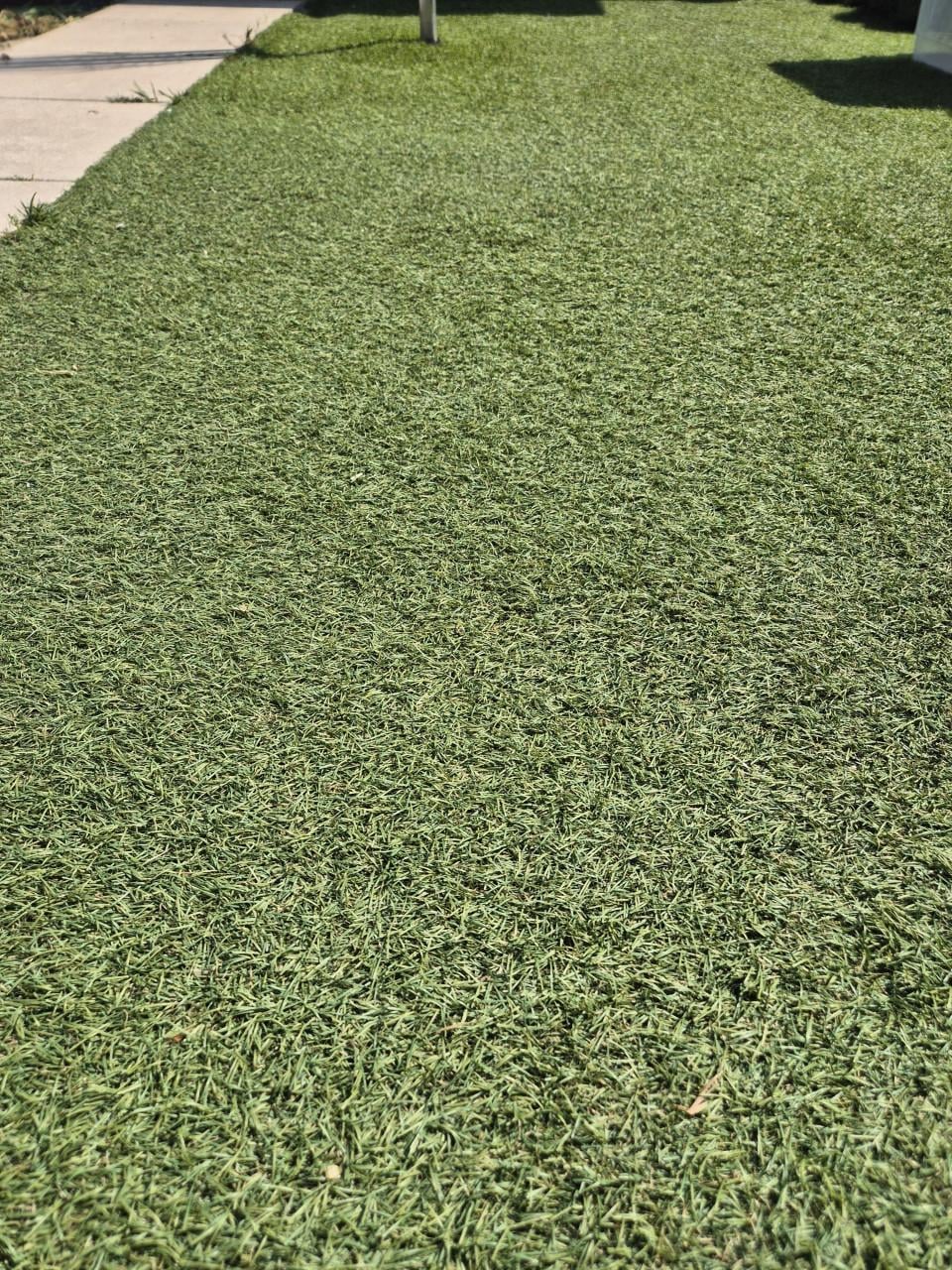 Kunstgras
