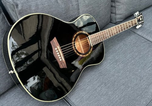 Washburn zo mooi zwart