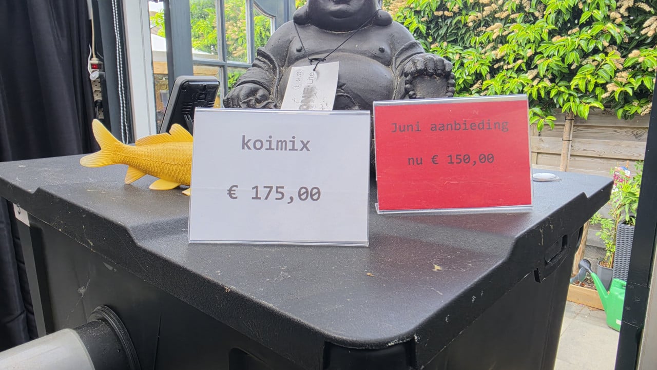 Mooi koi actie