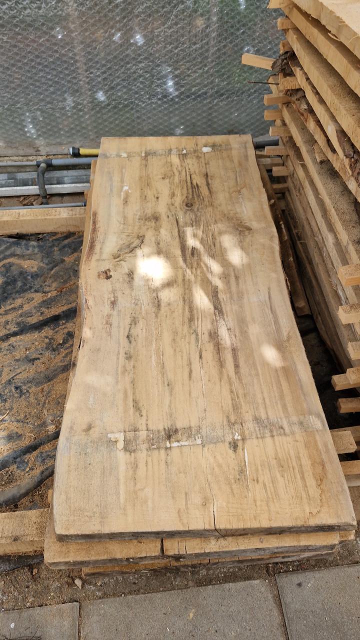 Boomstam schaaldelen leuk voor tafel, barblad of wandplank