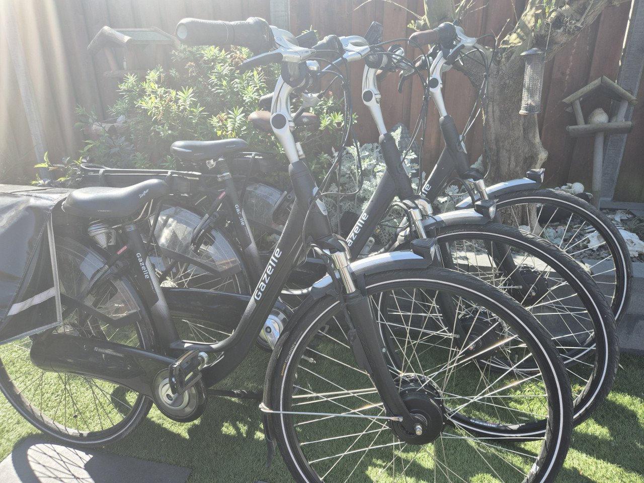 Elektrische fiets Voque | bezorgen mogelijk.