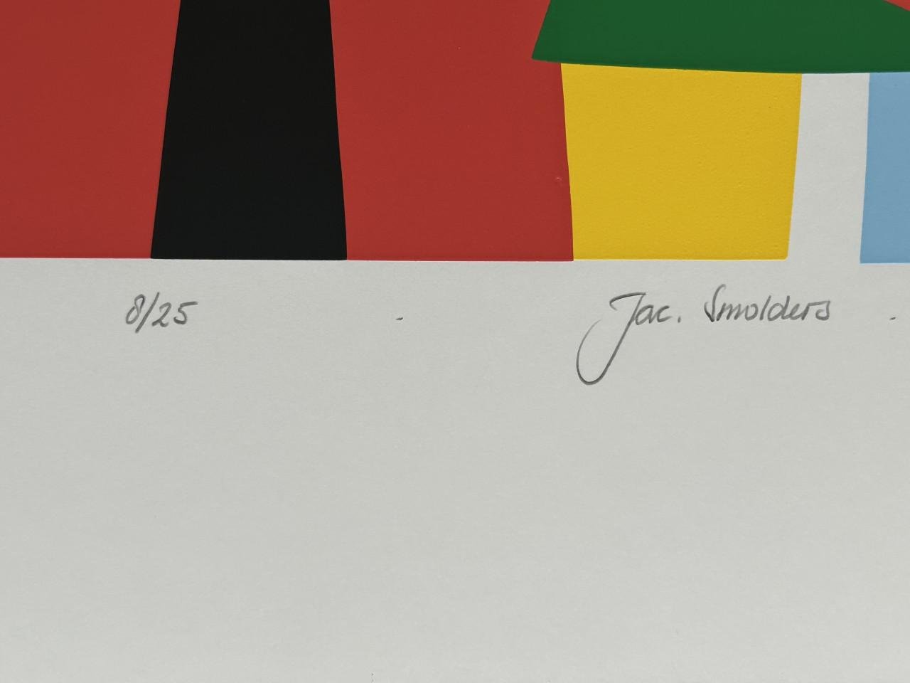 Zeefduk Jac Smolders14 van 25 "Kleurige dieren in de nacht"