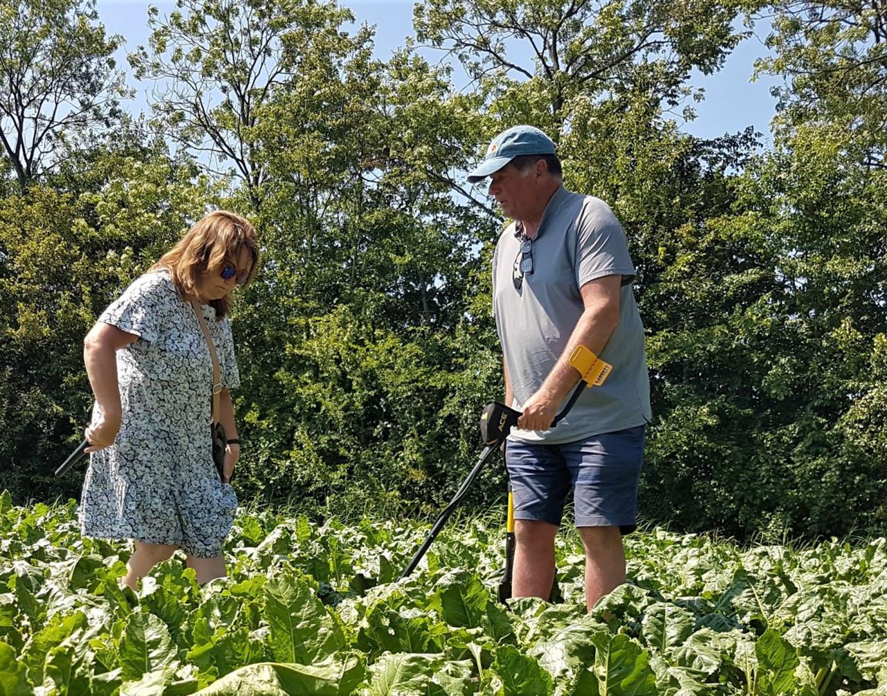 Metaaldetectie workshops op weilanden, akkers en boomgaarden