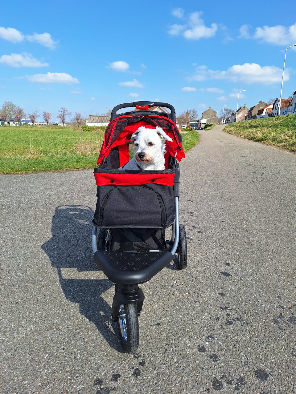 Prachtige hondenbuggy