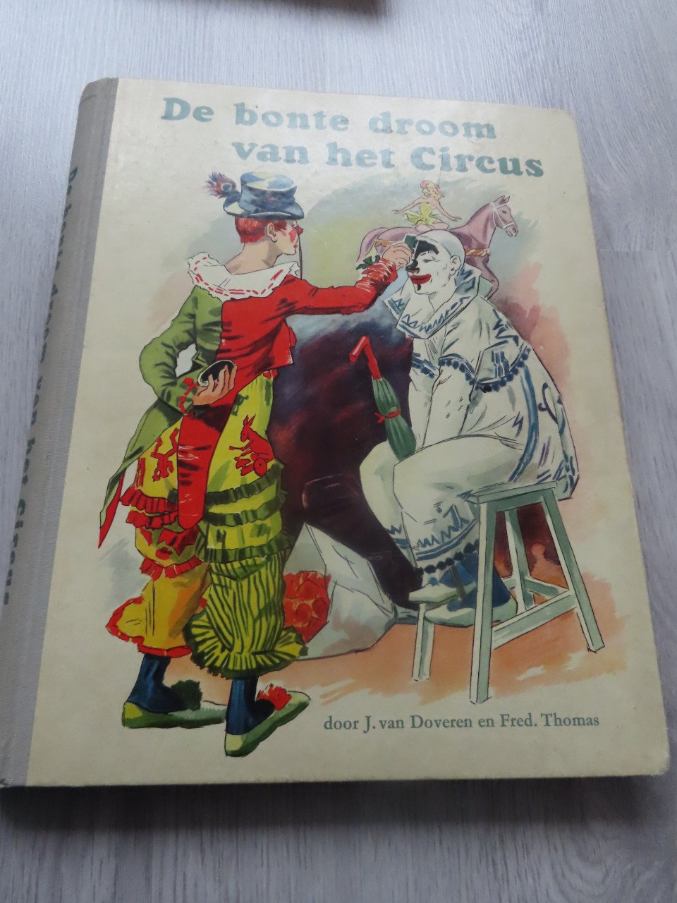 Plaatjes boek bonte droom van het circus