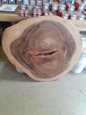 Supermooi suar boomstam blad - ong 90 cm doorsnede, gratis poten