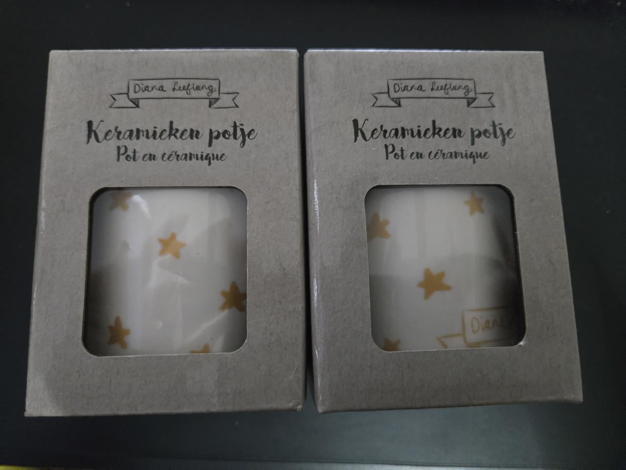 2 stuks Diana Leeflang" keramieken potjes, Nieuw