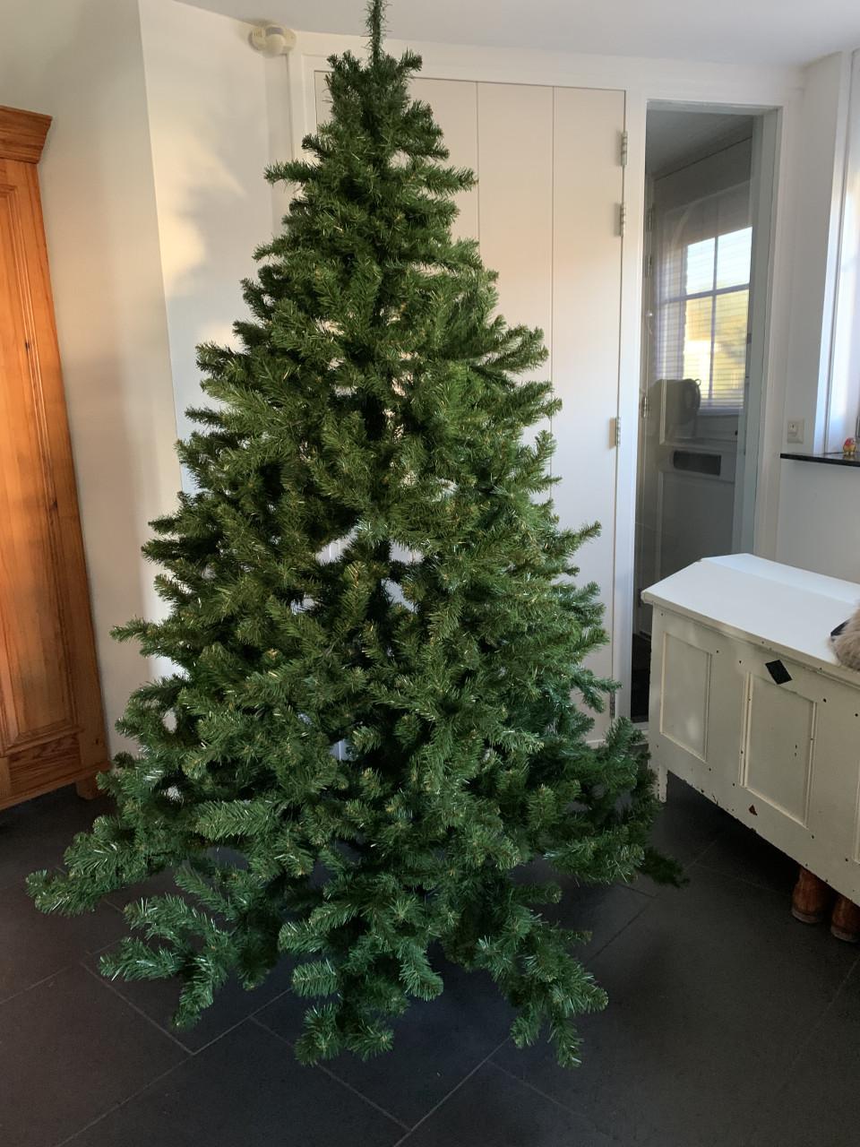 Kerstboom 2.15 m Triumph Tree