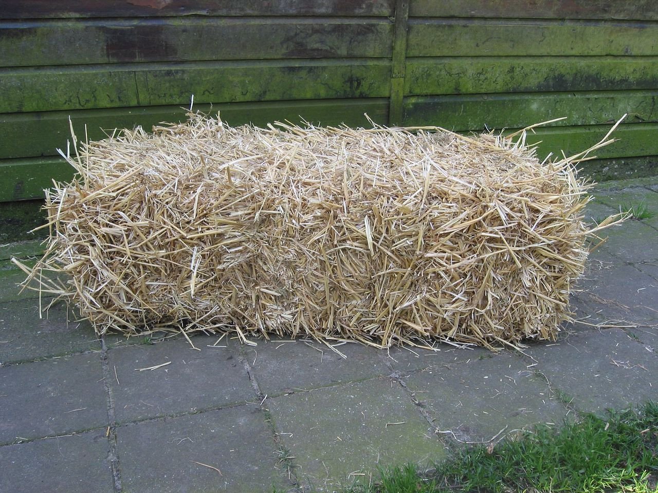 40 kleine baaltjes tarwestro