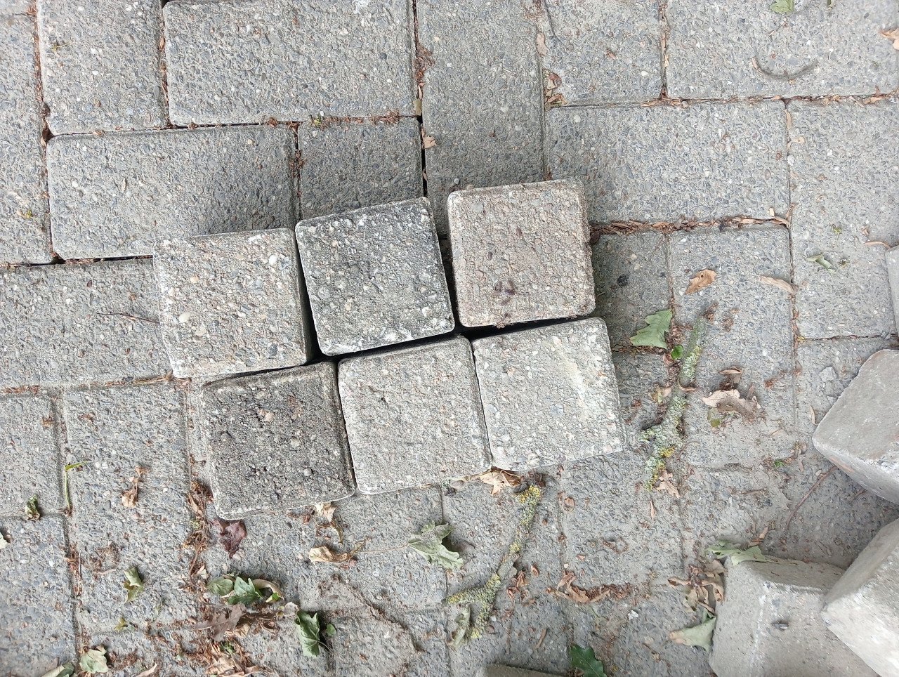 Straat klinkers