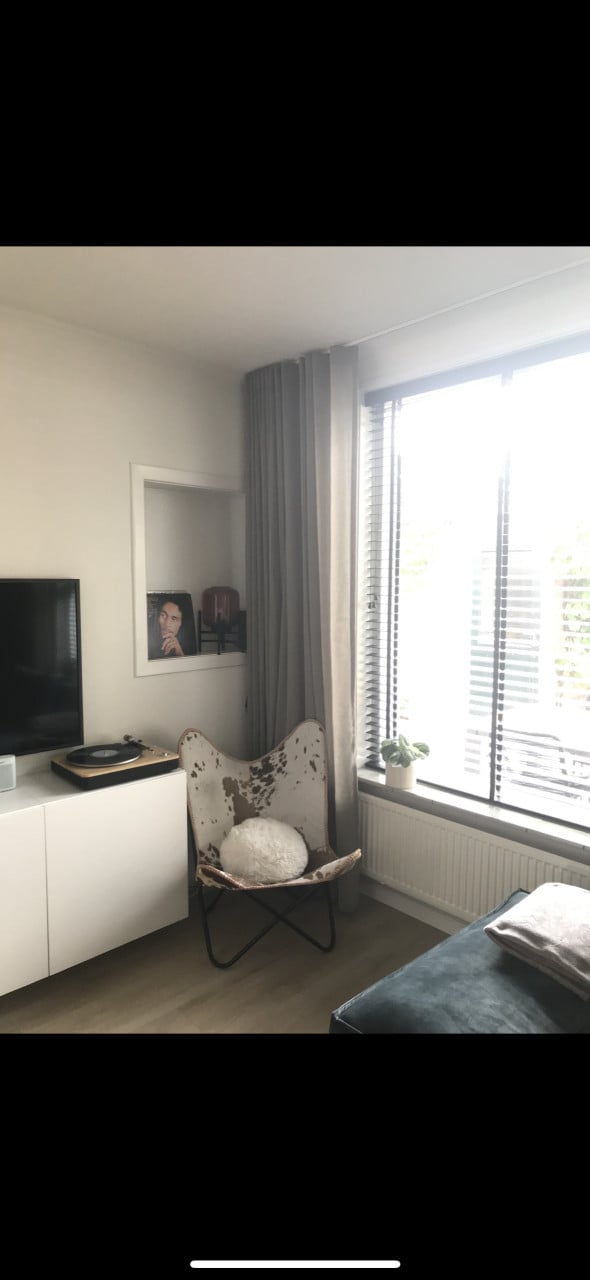 Echt lederen vlinderstoel van koeienhuid