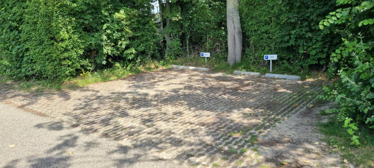 Renesse woning te huur