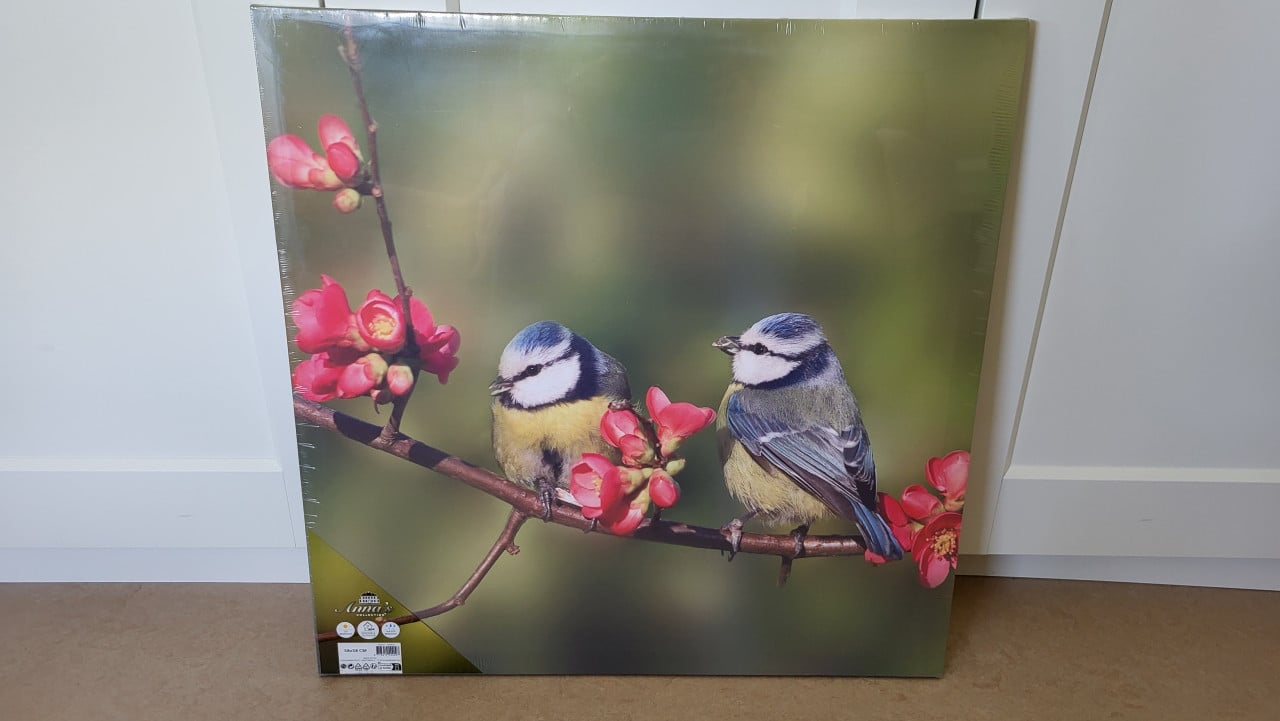 Buitencanvas pimpelmees 58 x 58 cm - NIEUW
