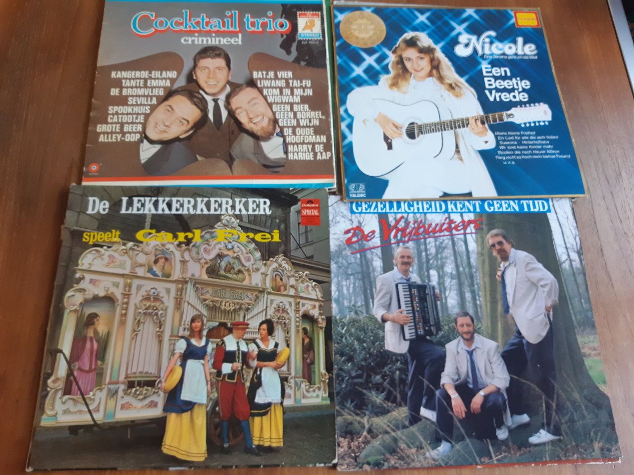 12 Nederlandstalige lp's