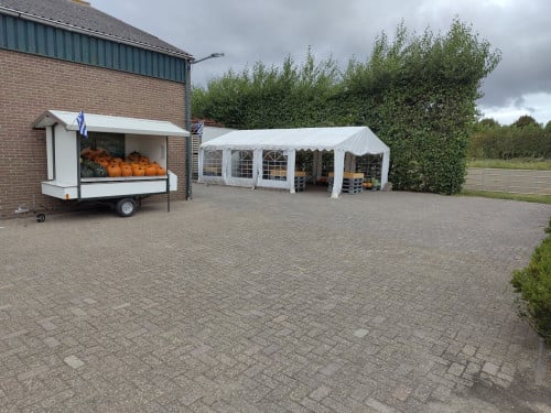 Pompoenen en kalebassen
