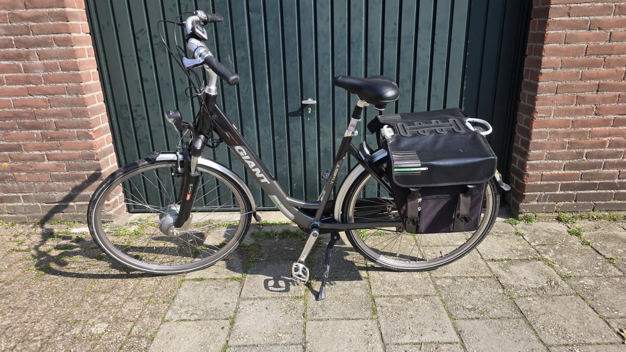 Giant Twist e-bike