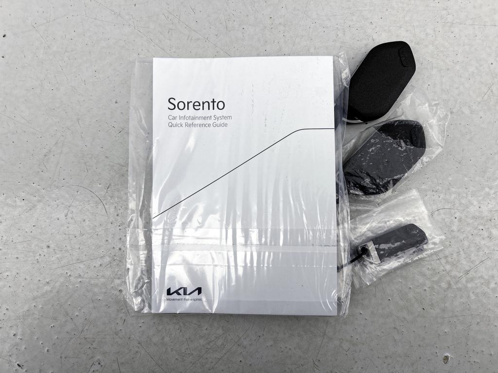 Kia Sorento 1.6 t-gdi plug-in hybrid 4wd executiveline 7p. | company car | 