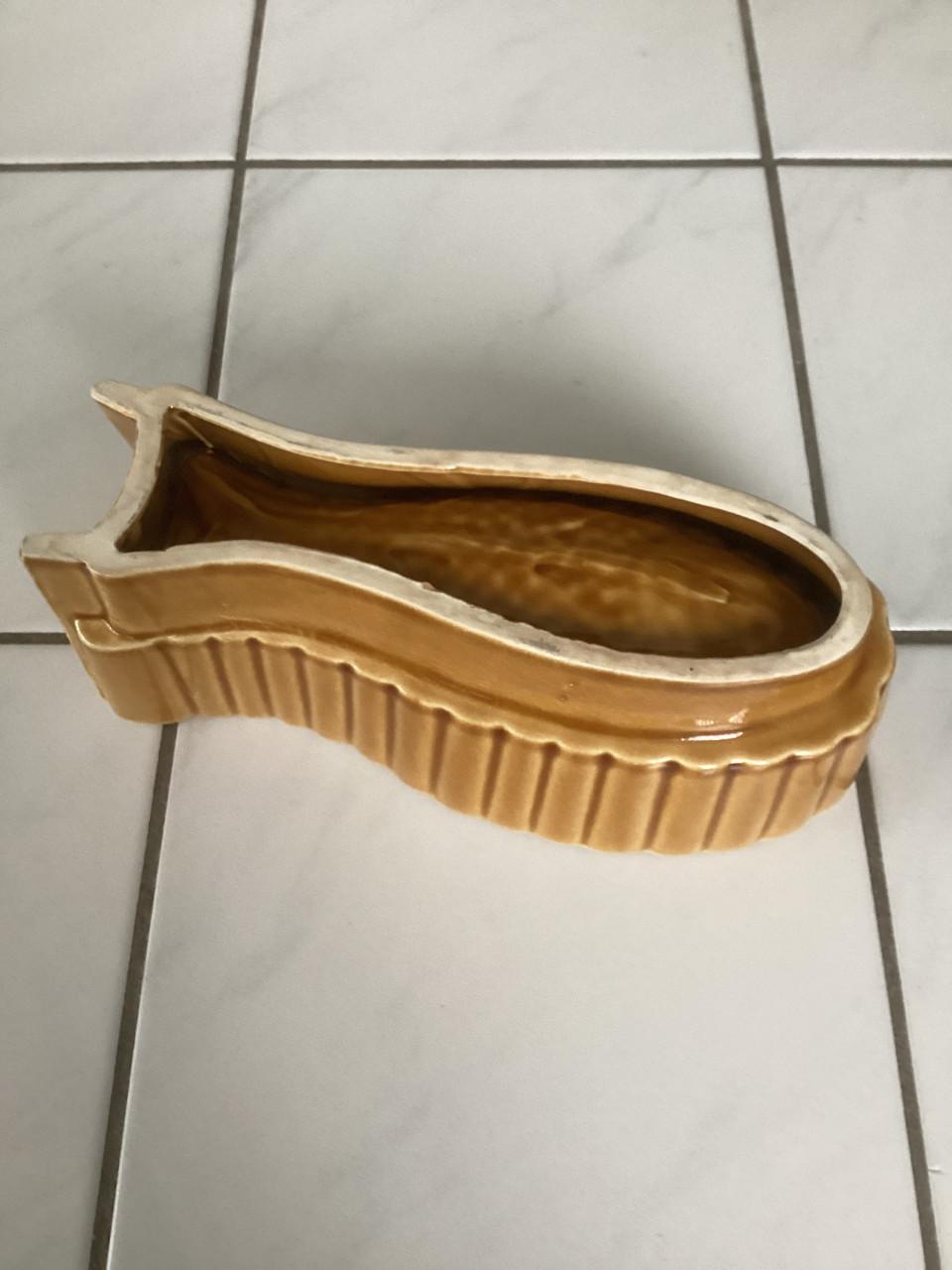 Ovenschaal in de vorm van een vis