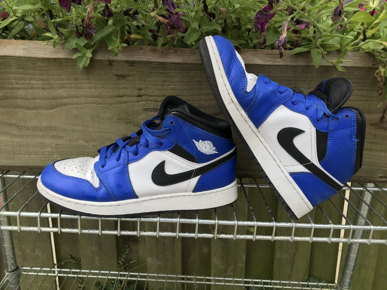 Nike Jordans