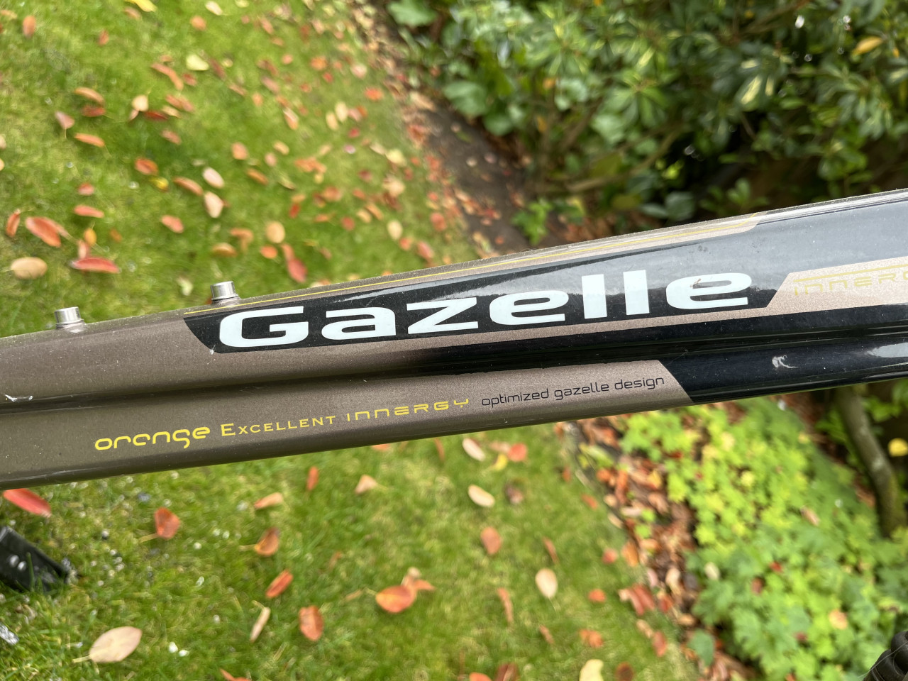 Gazelle Excellent Innergy