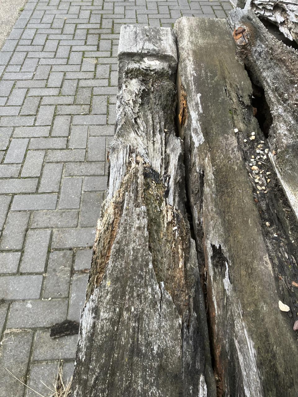 Hardhouten palen met een verleden