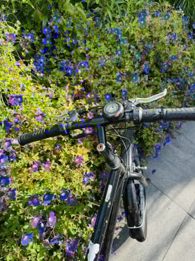 24 inch jongens fiets