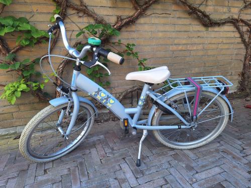 Meisjesfiets Bikefun – 22 inch – grijs/blauw