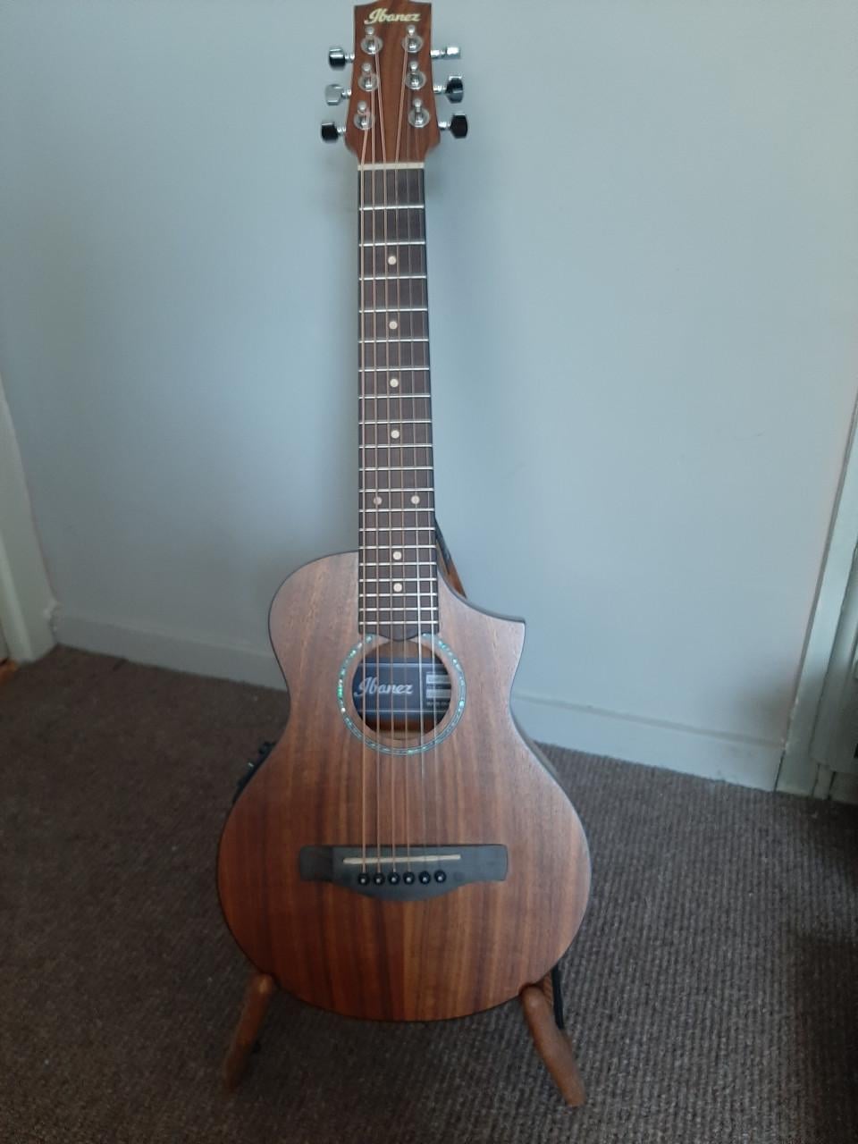 Ibanez EWP Series EWP12WB Electric Acoustic Travel Guitar
