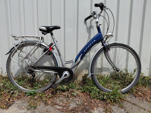 Dames fietsen