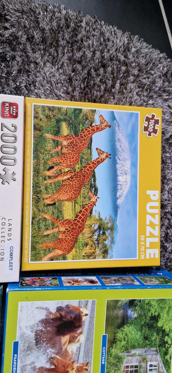 Puzzels