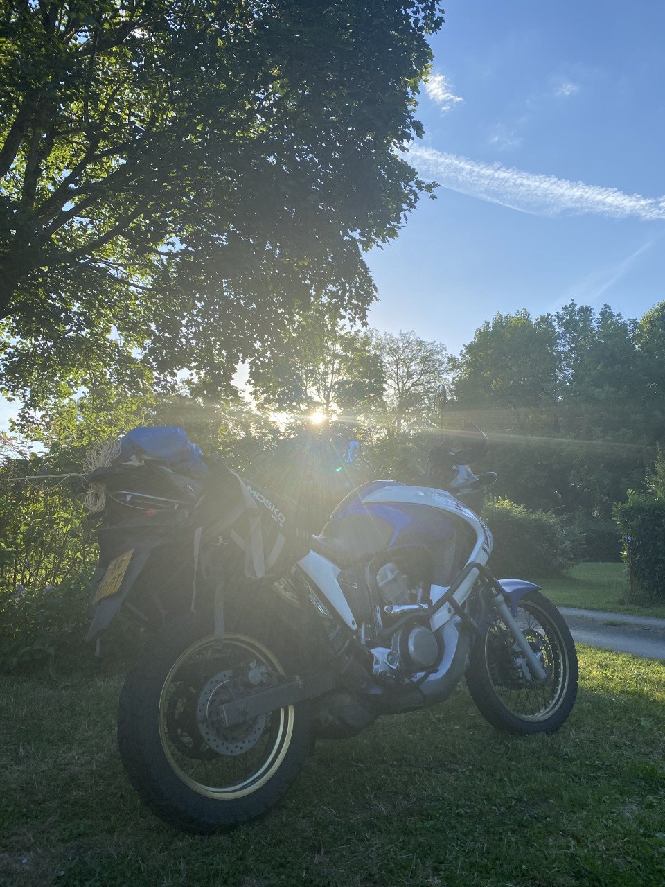Honda transalp 700 xl